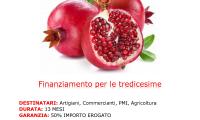 FINANZIAMENTI PER TREDICESIME FINO A 12/13 MESI !